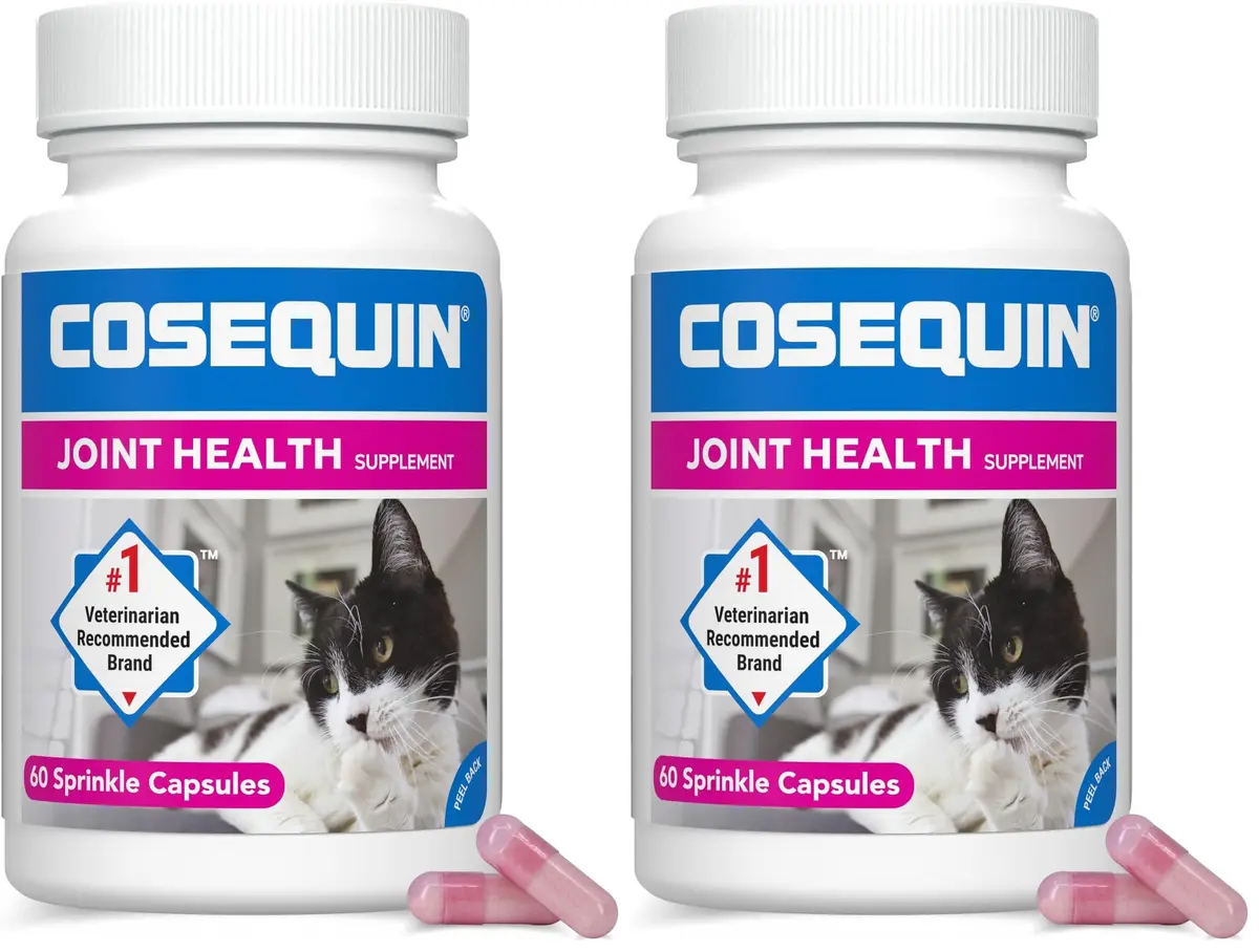 Nutramax Cosequin for Cats Joint Support Capsules 60 Count | Supports Healthy Joints with Glucosamine & Boswellia - main product image