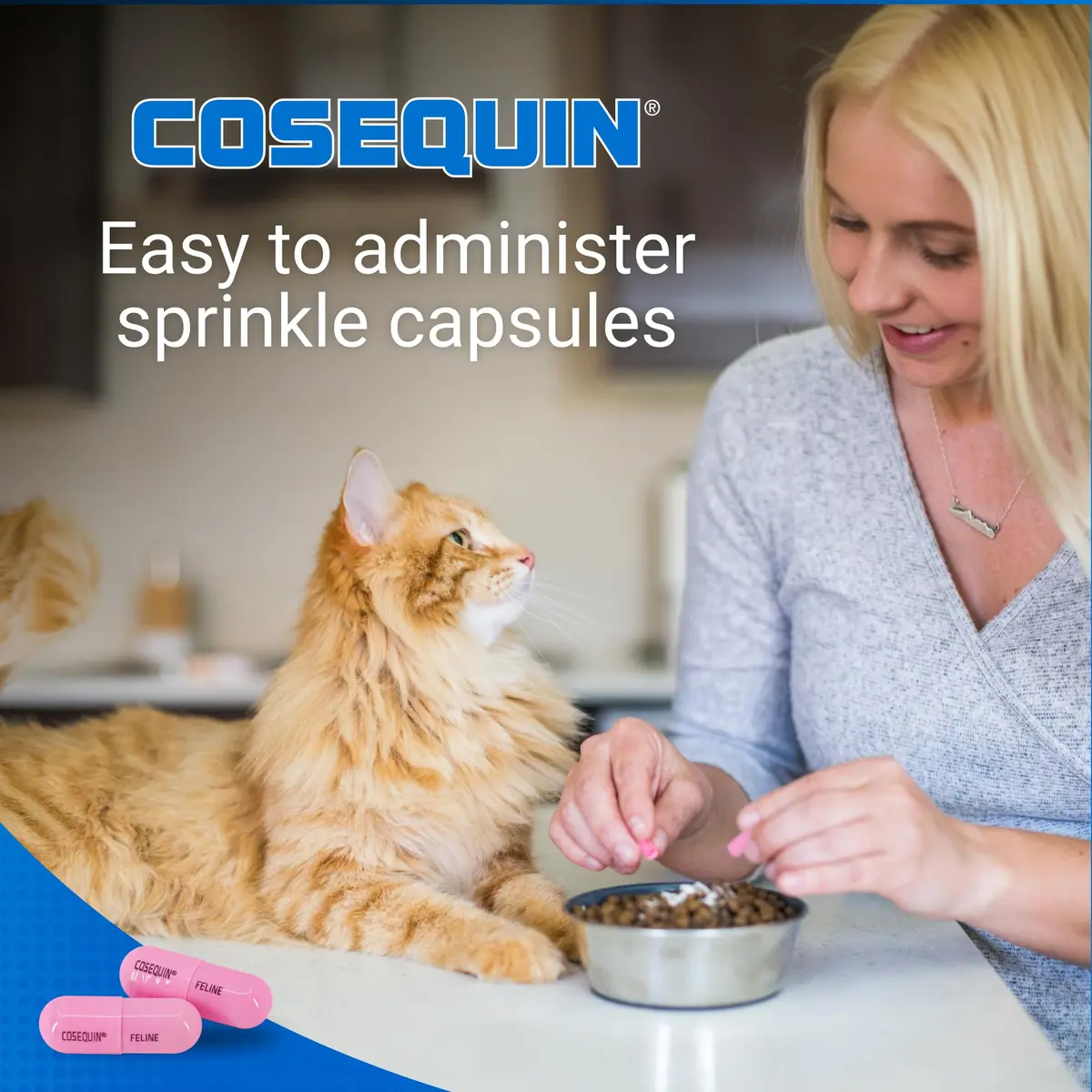 Nutramax Cosequin for Cats Joint Support Capsules 60 Count | Supports Healthy Joints with Glucosamine & Boswellia - view 3