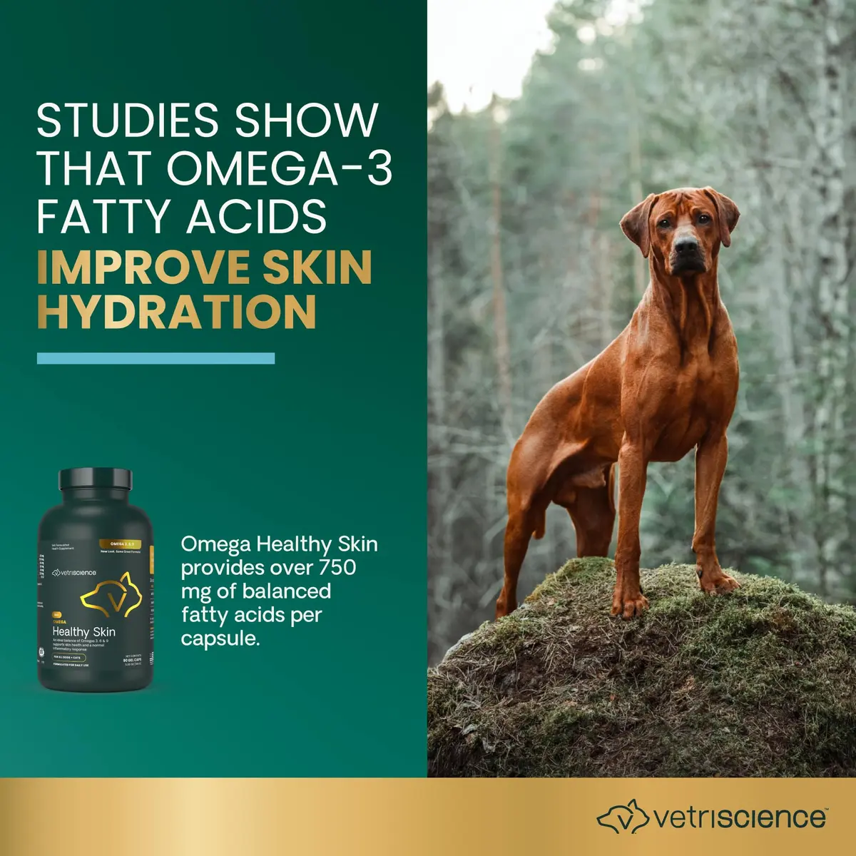 VetriScience Omega Healthy Skin Capsules 180 Count (90 Chews x 2) | Fish Oil Supplement for Dogs & Cats with 750mg Omega Fatty Acids - view 2