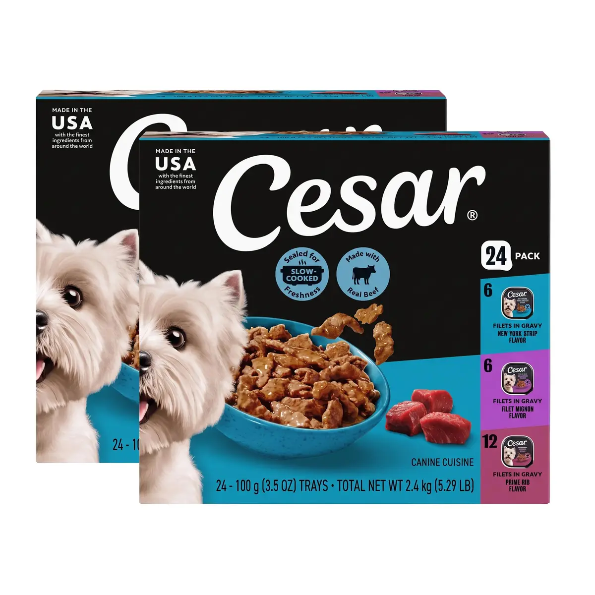 Cesar Filets in Gravy Wet Dog Food, Steak Mix Variety, 24 count, 2 pack | Made in USA with real meat, easy digestible, complete for adult dogs - main product image