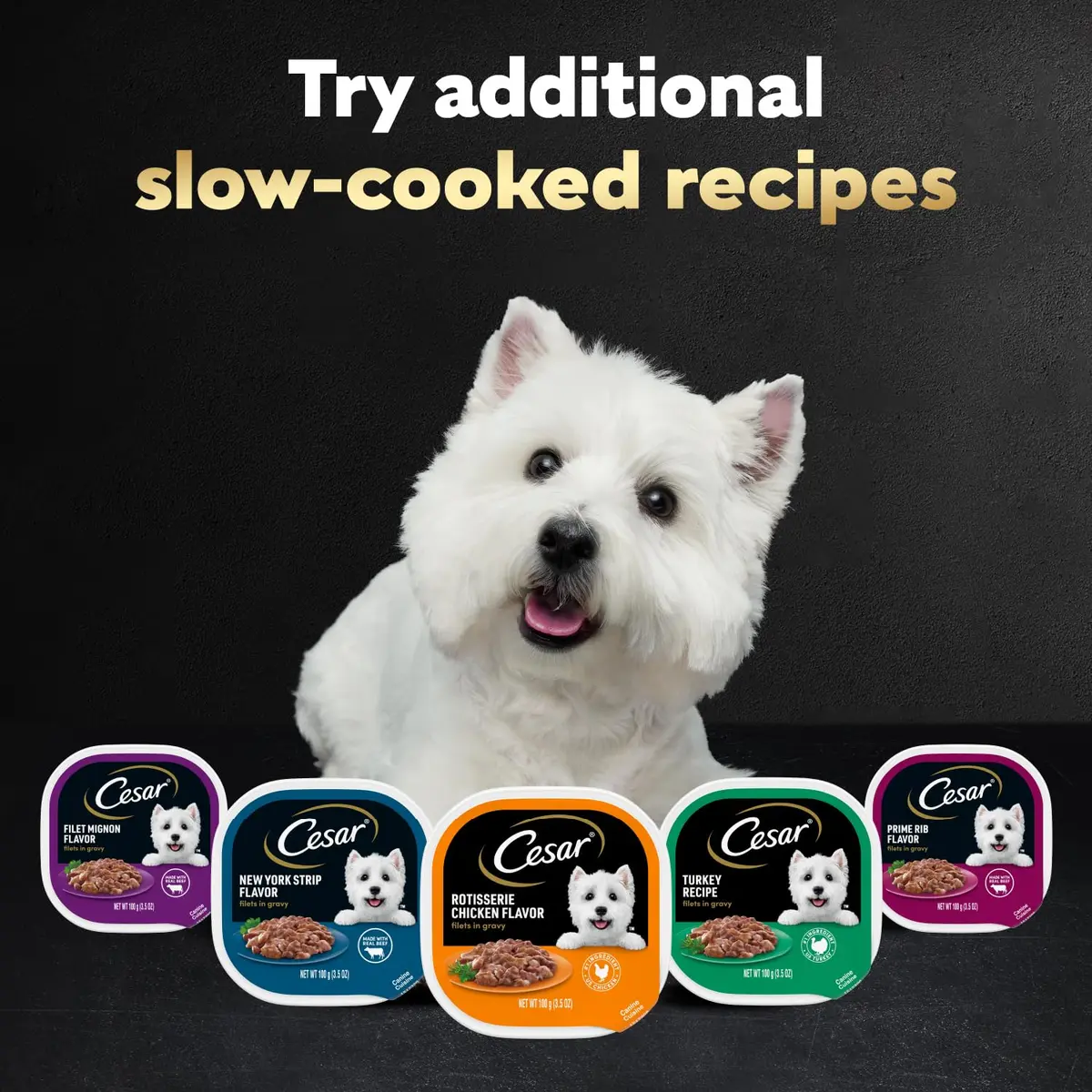 Cesar Filets in Gravy Wet Dog Food, Steak Mix Variety, 24 count, 2 pack | Made in USA with real meat, easy digestible, complete for adult dogs - view 7