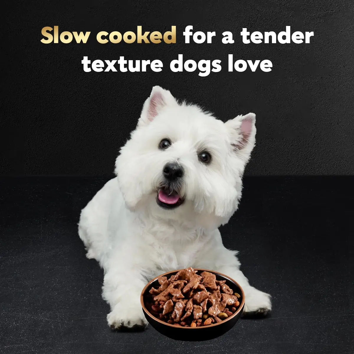 Cesar Filets in Gravy Wet Dog Food, Steak Mix Variety, 24 count, 2 pack | Made in USA with real meat, easy digestible, complete for adult dogs - view 3