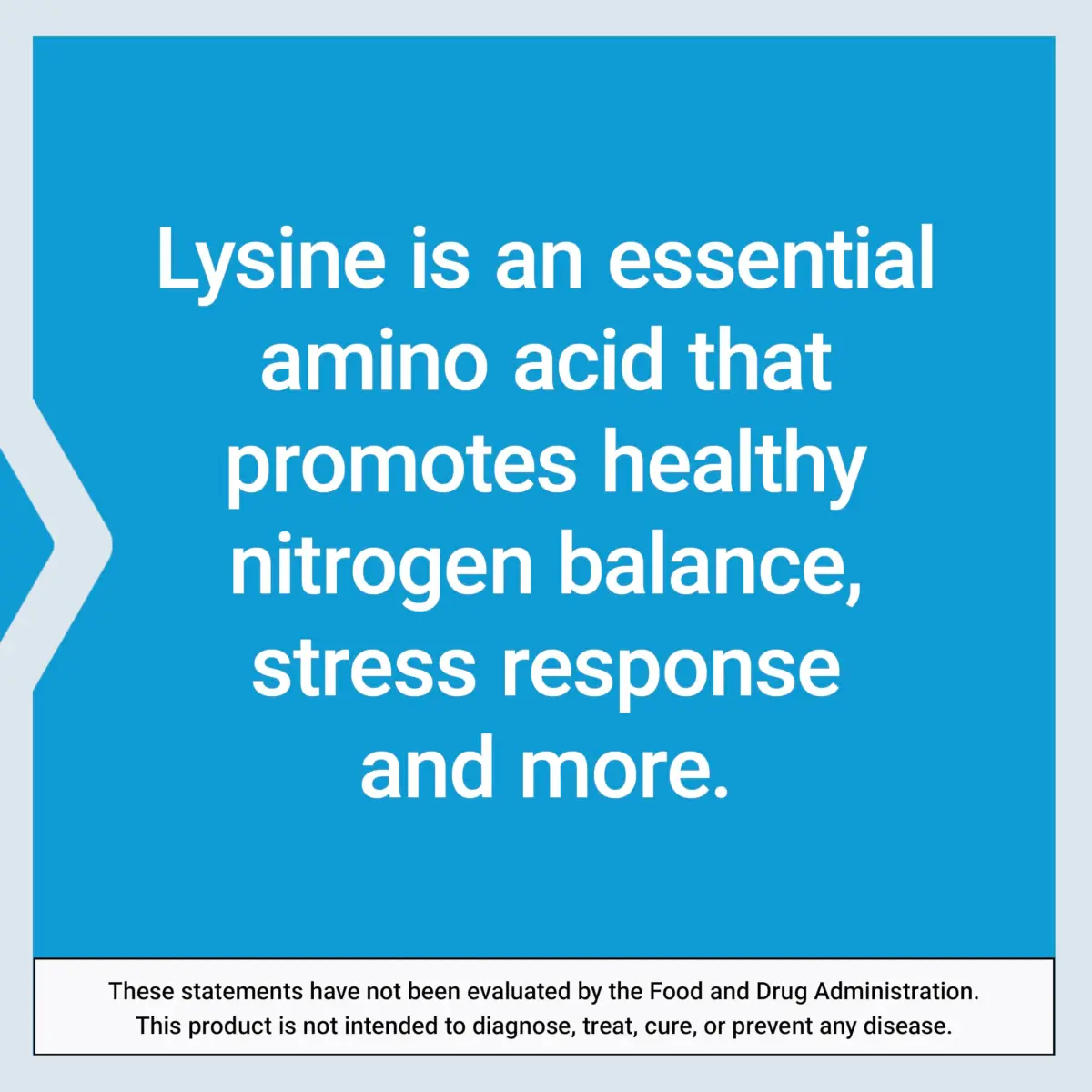Life Extension L-Lysine 620mg Vegetarian Capsules (200 Count) | Essential Amino Acid for Healthy Nitrogen Balance - view 5