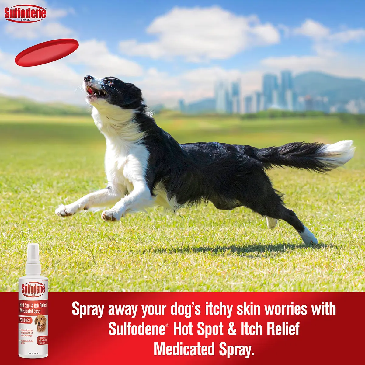 Sulfodene Hot Spot & Itch Relief Medicated Spray for Dog 8oz (Pack of 2) | Moisturizing & Soothing Relief - view 2