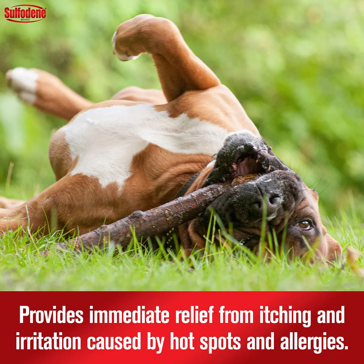 Sulfodene Hot Spot & Itch Relief Medicated Spray for Dog 8oz (Pack of 2) | Moisturizing & Soothing Relief - view 3