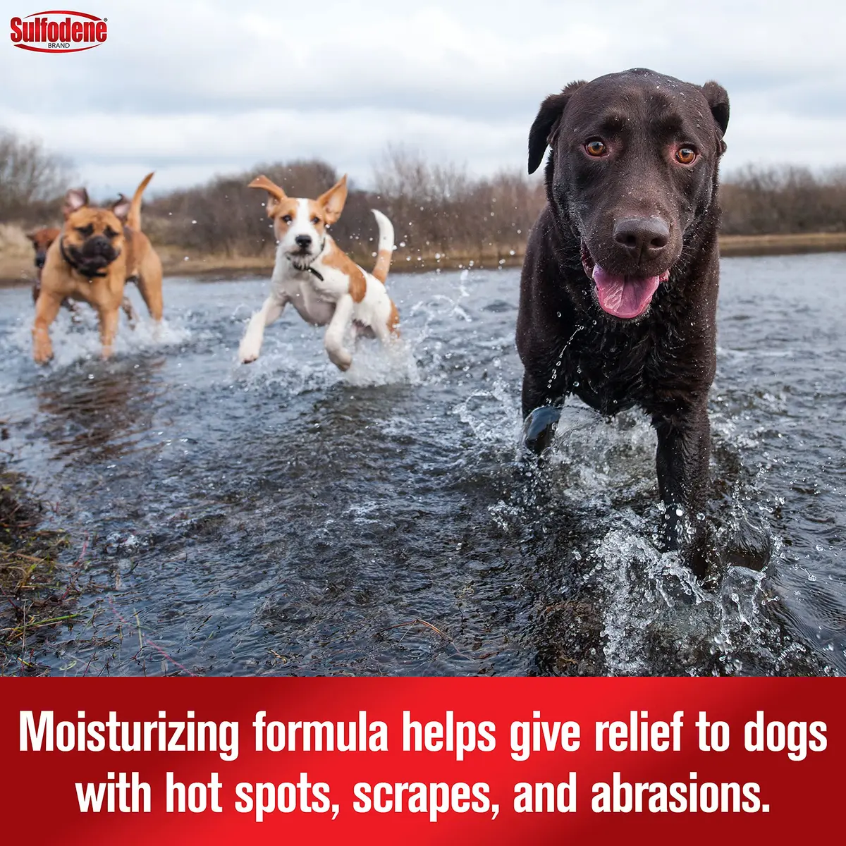 Sulfodene Hot Spot & Itch Relief Medicated Spray for Dog 8oz (Pack of 2) | Moisturizing & Soothing Relief - view 4