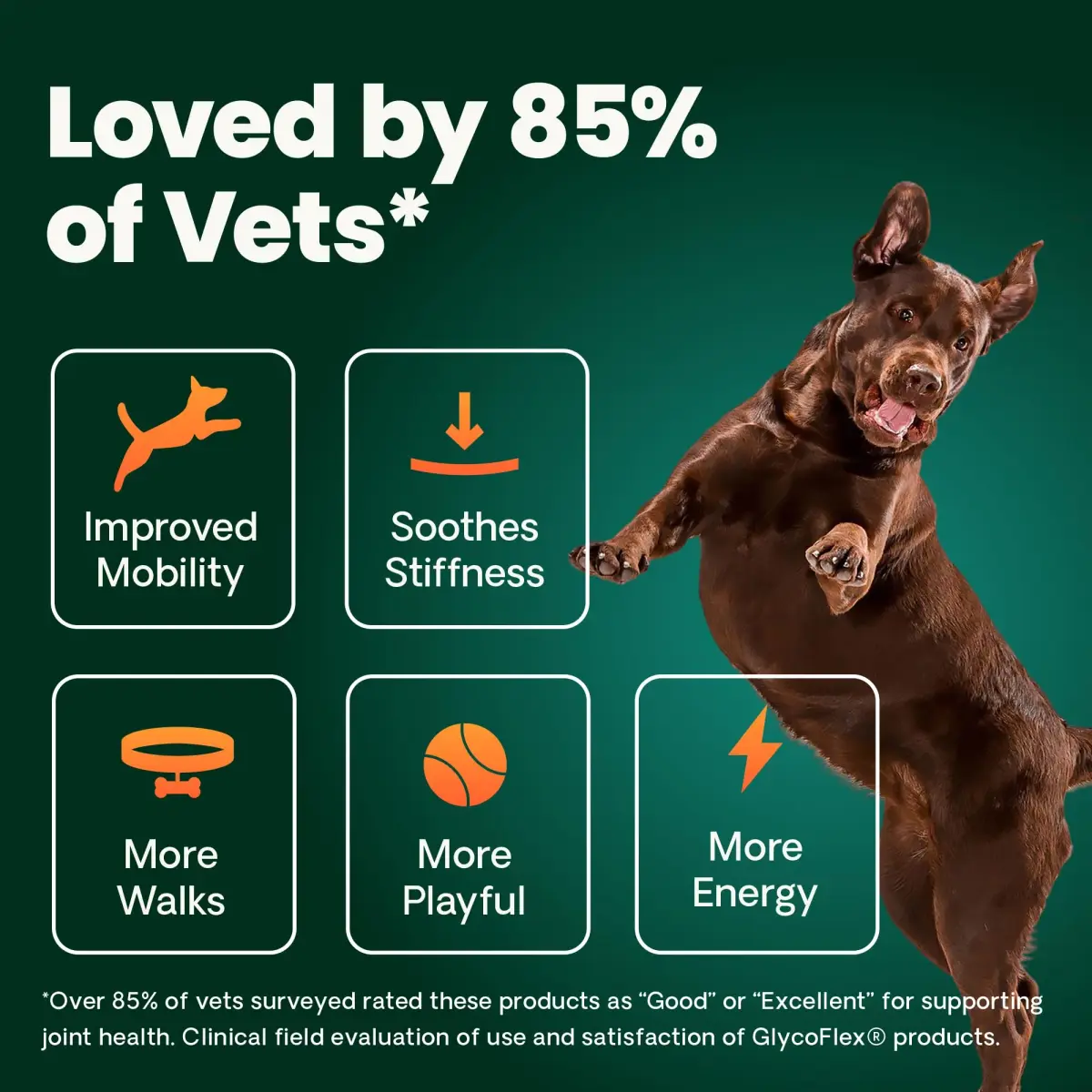 VetriScience Extra Strength Healthy Hip & Joint Chews for Dogs, GlycoFlex 3, 240 Chews (Pack of 2) | Advanced Joint Support for Mobility & Recovery - view 5