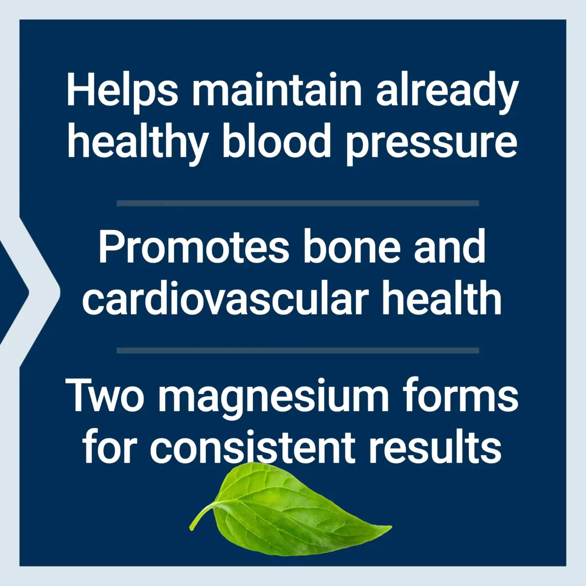Life Extension Extend-Release Magnesium Capsules 250 mg (120 Count) | Supports Heart, Bone & Muscle Health - view 3