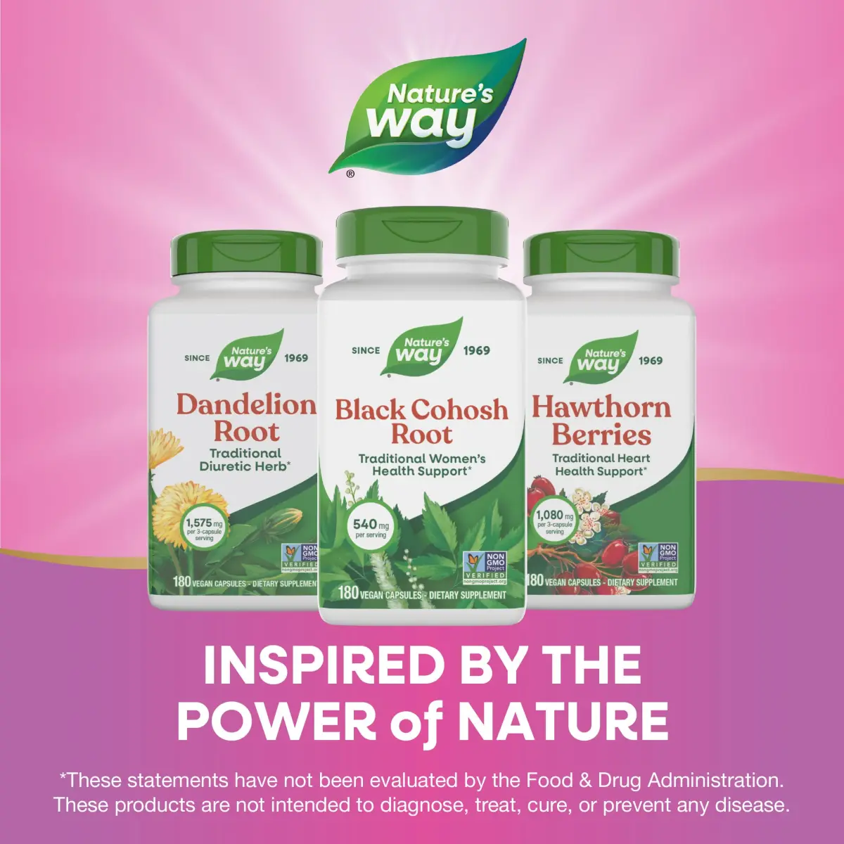Nature's Way Black Cohosh Root Herbal Supplement 360 Capsules (180 Count x 2) | Traditional Women's Health Support - view 7