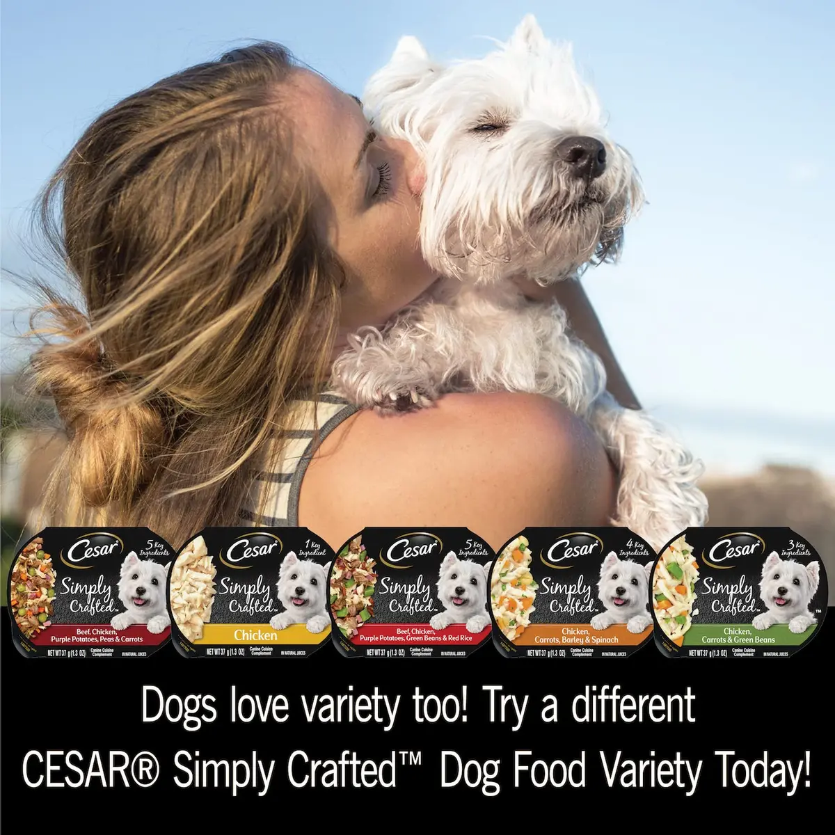 Cesar Simply Crafted Adult Wet Dog Food Toppers for Dry Food, Chicken, 1.3 oz Tub | Real Chicken & Natural Ingredients - view 7