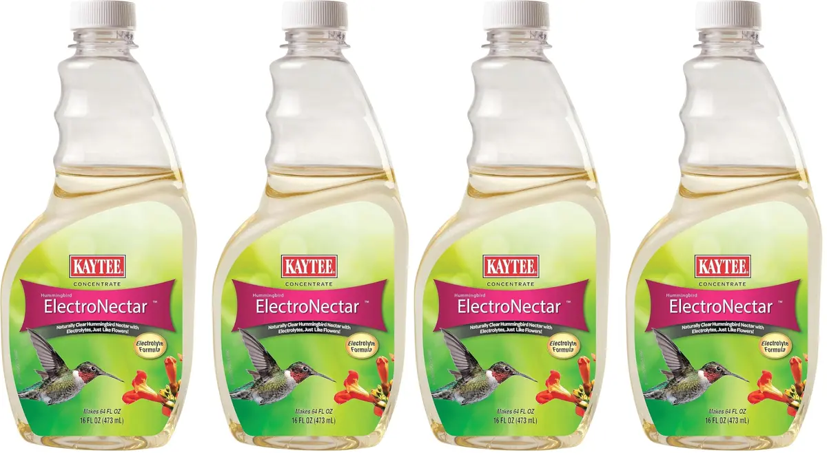 Kaytee Hummingbird ElectroNectar Concentrate 16 Fl Oz | Clear Nectar with Electrolytes for Wild Birds - main product image