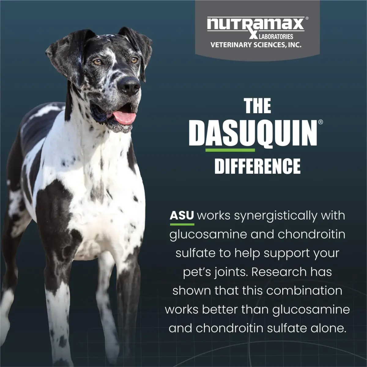 Nutramax Dasuquin for Large Dogs, Joint Health Supplement, Glucosamine, Chondroitin, ASU, 300 Chewable Tablets | Vet Recommended for Large Breed Dogs - view 6
