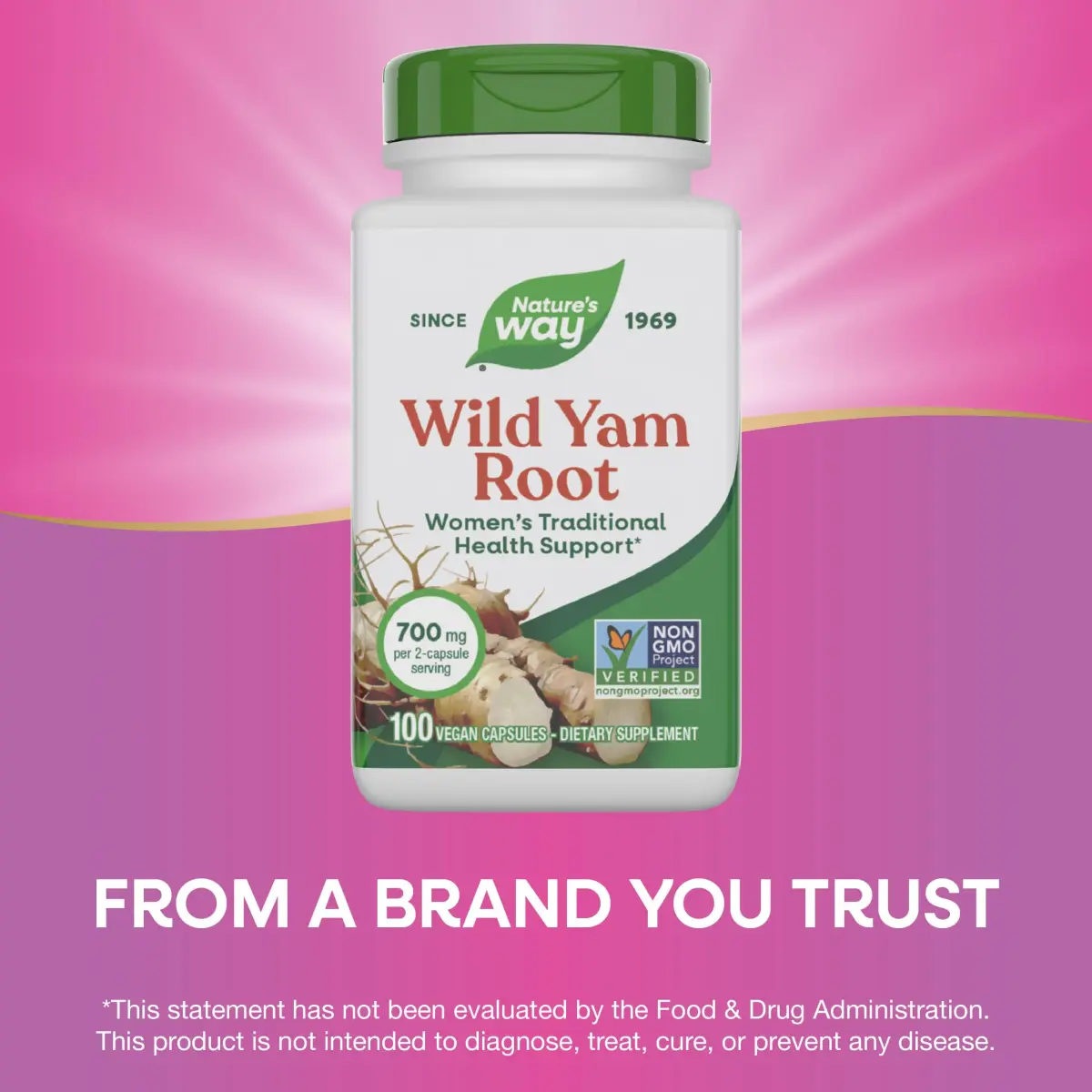 Nature's Way Wild Yam Root Capsules 700 mg per 2-Capsule Serving | Non-GMO Project Verified Vegan 100 Count (Pack of 2) - view 4