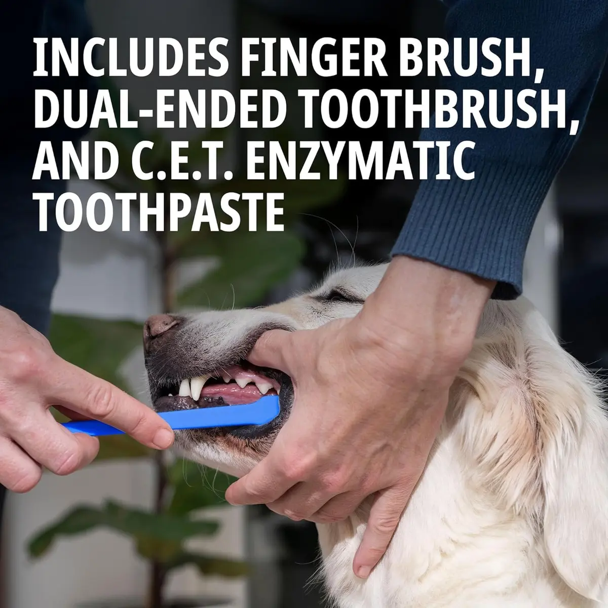 Virbac C.E.T. Oral Hygiene Kit for Dogs & Cats | Poultry Flavor Toothpaste & 2 Brushes (Pack of 2) | Vet-Recommended Dental Care - view 5