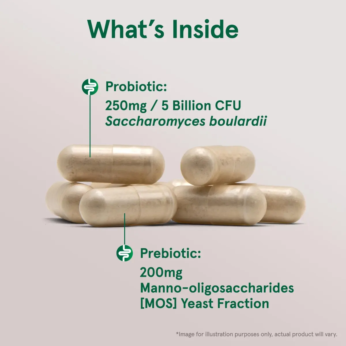 Jarrow Formulas Saccharomyces Boulardii + MOS Probiotic 5 Billion CFU 360 Count (Pack of 2) | Digestive Health Support - view 3