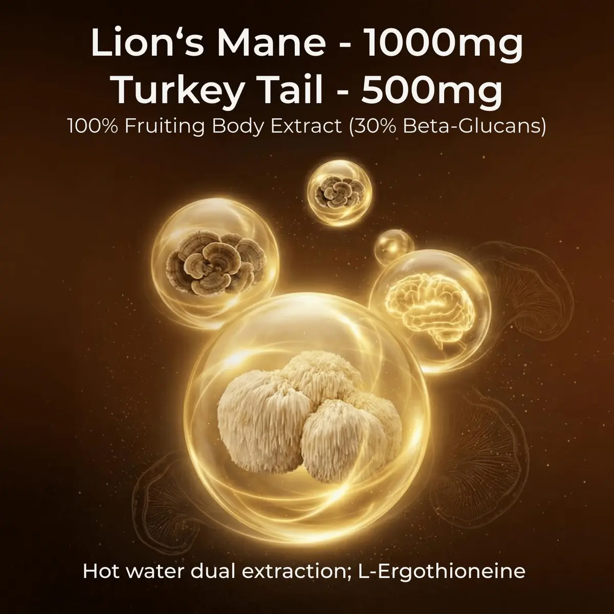 HojaSana Lions Mane Supplement Capsules with Turkey Tail, 90 Vegan Capsules | Cognitive & Immune Support - view 2