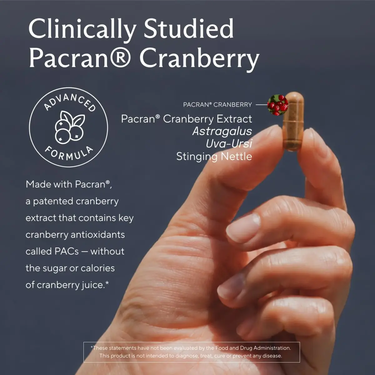 Sunergetic Kidney Cleanse Supplement with Cranberry Extract 120 Vegetarian Capsules (60 Count Pack of 2) | Supports Healthy Kidneys & Urinary Tract - view 7