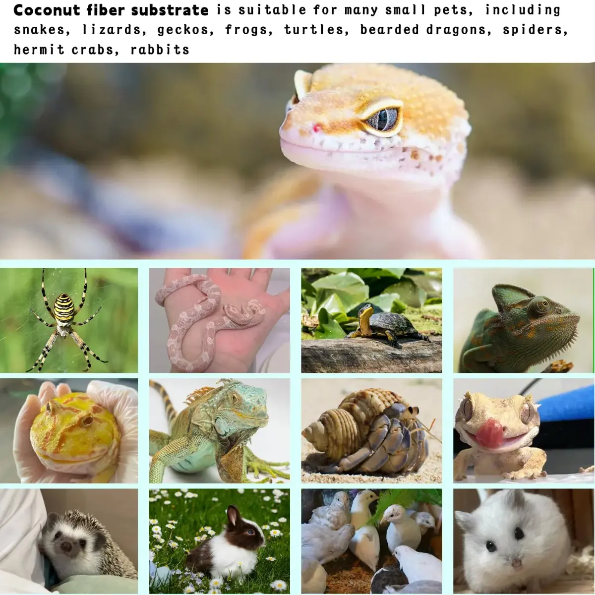 Hamiledyi Natural Coconut Fiber Reptile Carpet Roll 30cm x 3m (0.2-0.4cm Thick) | Breathable, Washable, DIY Substrate for Bearded Dragon, Tortoise, Lizard Habitats - view 7