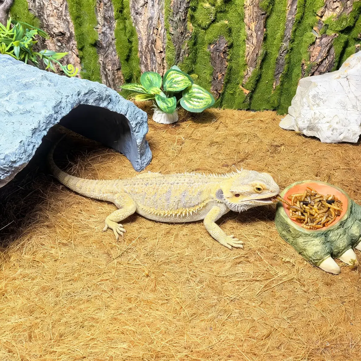 Hamiledyi Natural Coconut Fiber Reptile Carpet Roll 30cm x 3m (0.2-0.4cm Thick) | Breathable, Washable, DIY Substrate for Bearded Dragon, Tortoise, Lizard Habitats - view 4