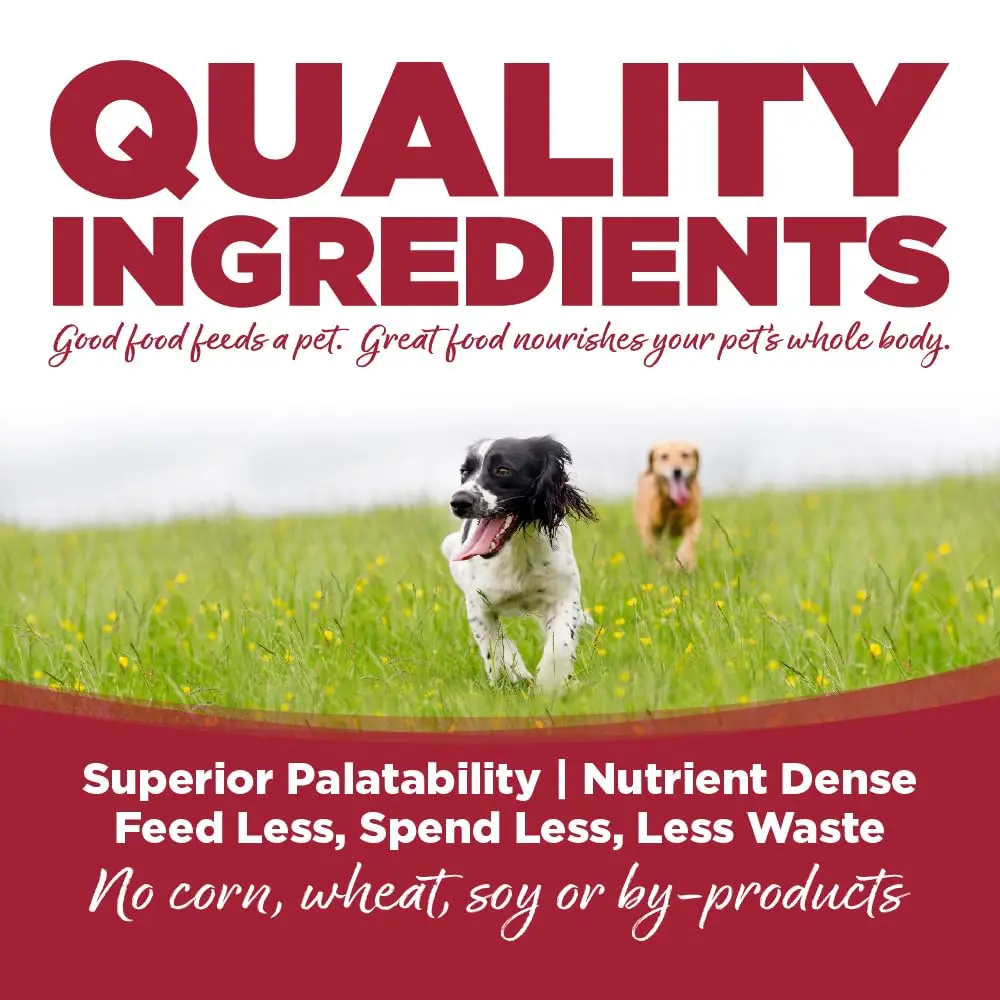 NutriSource Choice Beef & Barley Dog Food 5lb | Good4Life Probiotics, All Life Stages - view 3