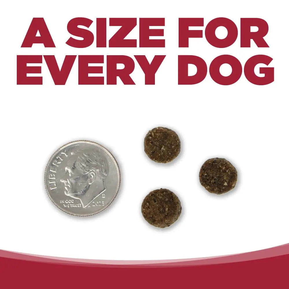 NutriSource Choice Beef & Barley Dog Food 5lb | Good4Life Probiotics, All Life Stages - view 4