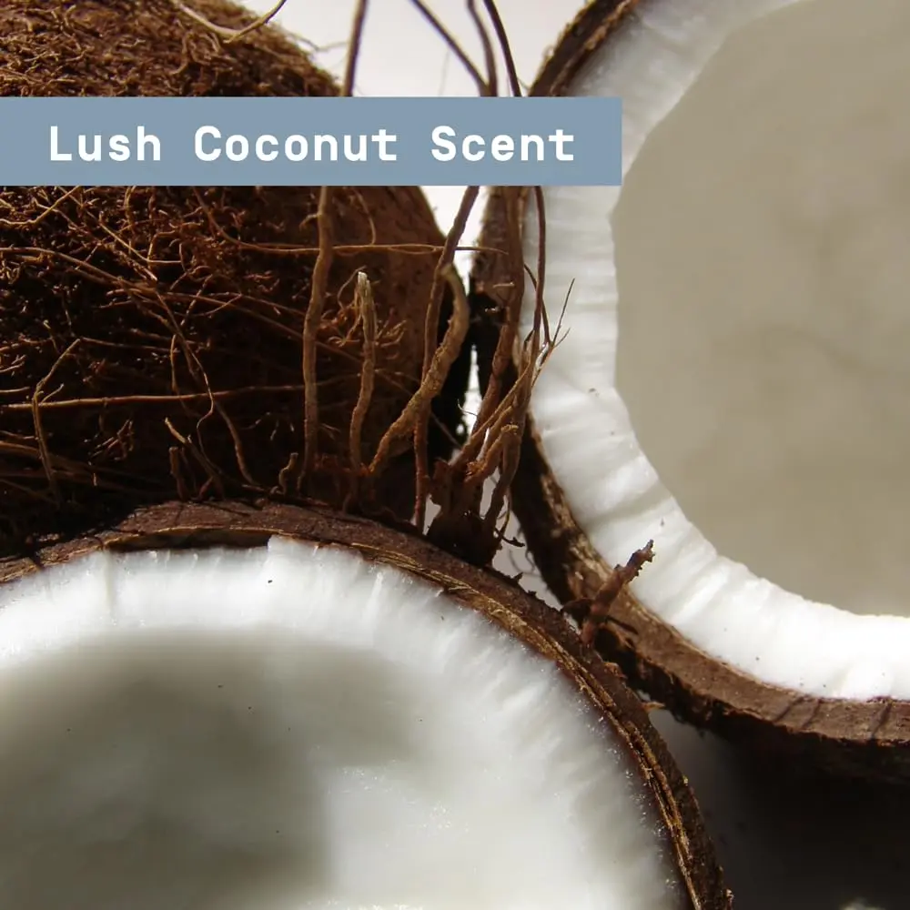 PAPATUI by Dwayne Johnson Antiperspirant Lush Coconut 2.6 oz (3pk) | Long-lasting sweat & odor control, vegan, tropical scent - view 6