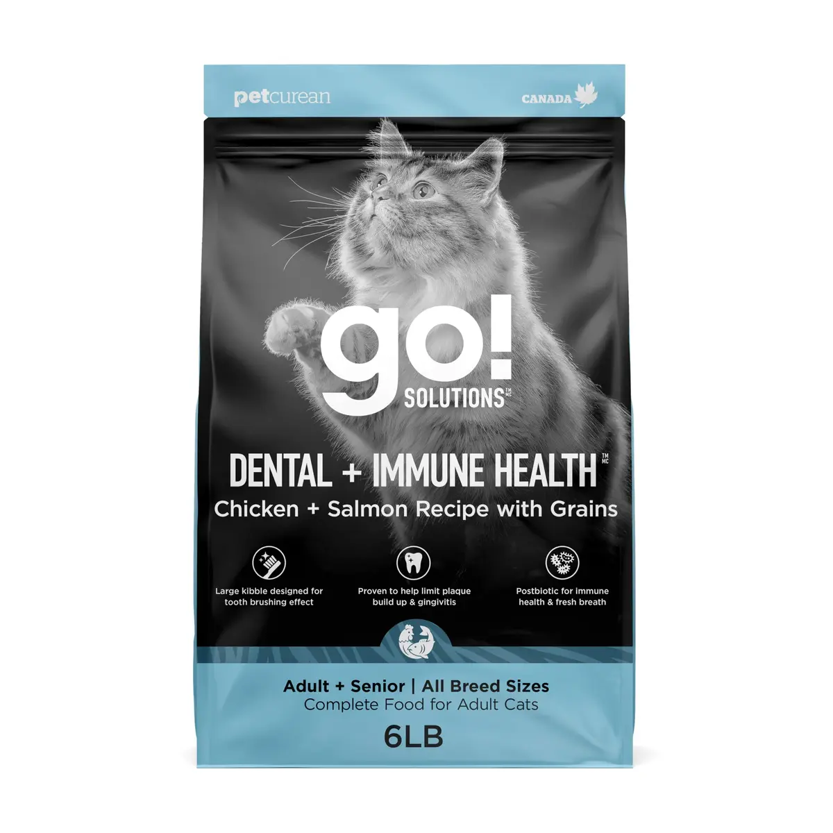 Go! Solutions Dental + Immune Health Chicken + Salmon Dry Cat Food, 6 lb | Supports Oral & Immune Health - main product image