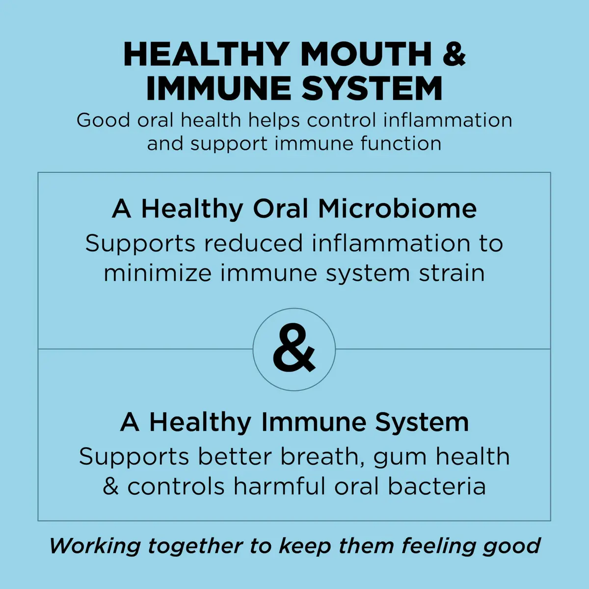 Go! Solutions Dental + Immune Health Chicken + Salmon Dry Cat Food, 6 lb | Supports Oral & Immune Health - view 5