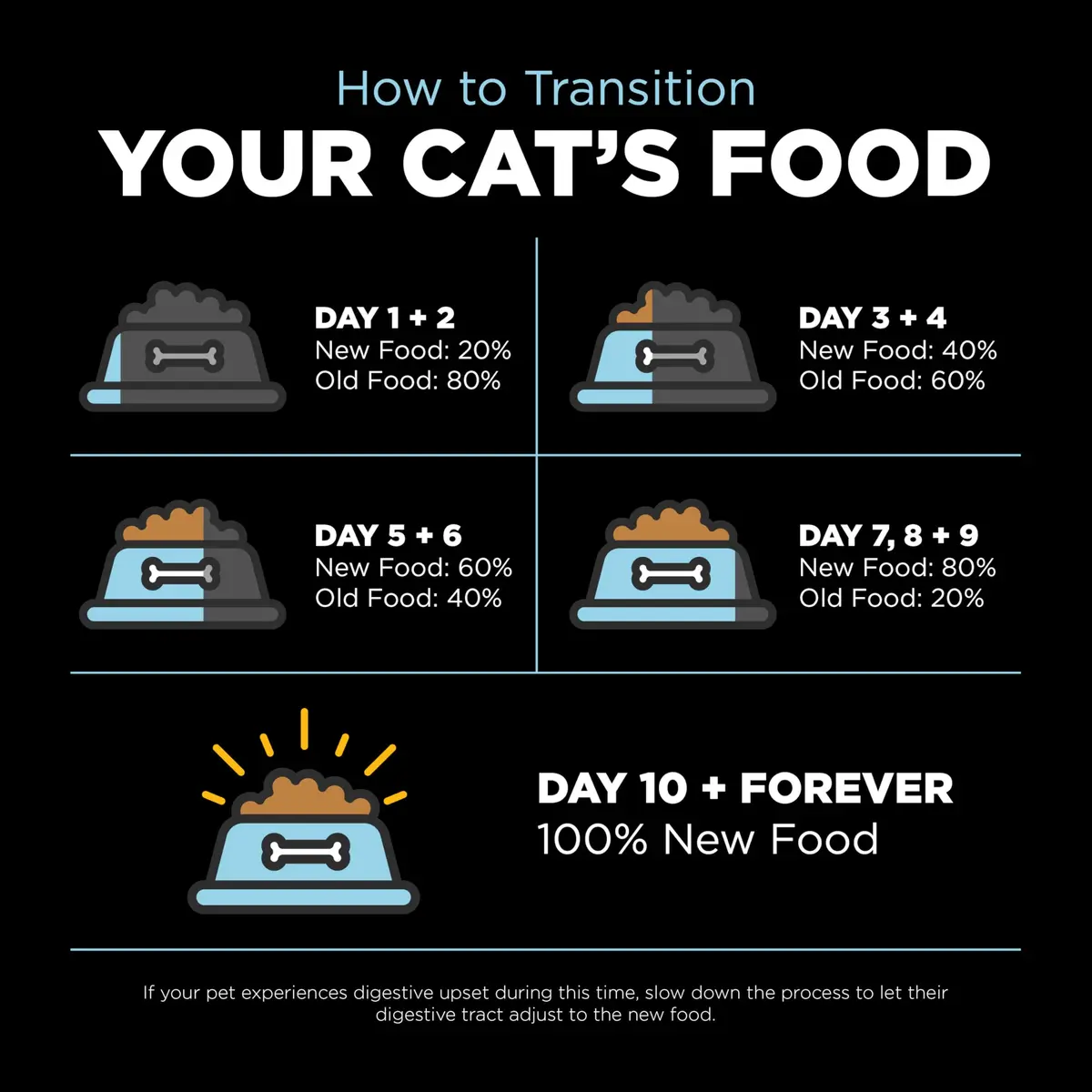 Go! Solutions Dental + Immune Health Chicken + Salmon Dry Cat Food, 6 lb | Supports Oral & Immune Health - view 9