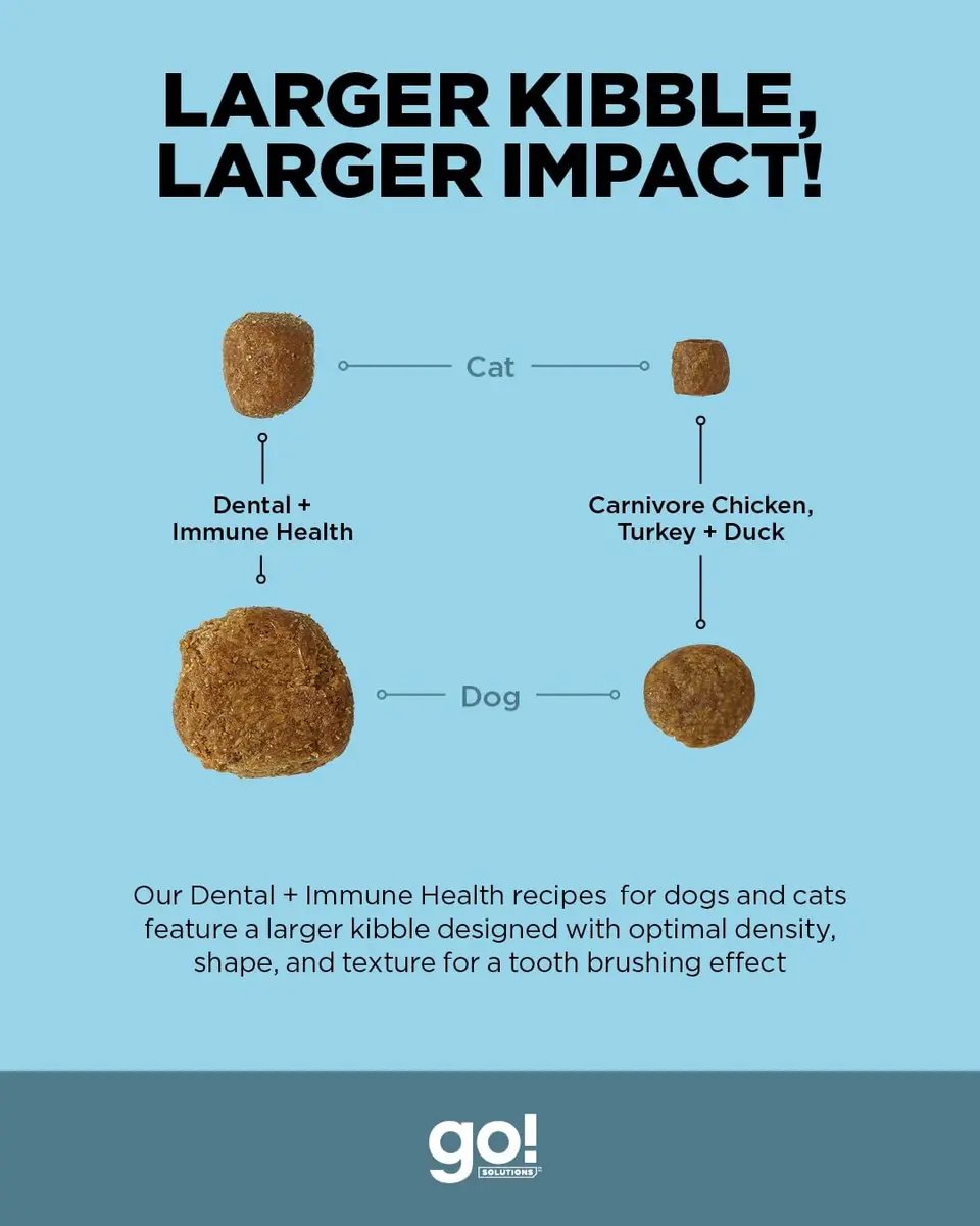 Go! Solutions Dental + Immune Health Chicken + Salmon Dry Cat Food, 6 lb | Supports Oral & Immune Health - view 4