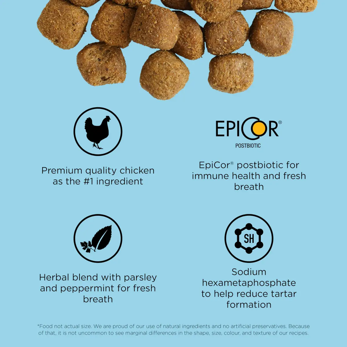 Go! Solutions Dental + Immune Health Chicken + Salmon Dry Cat Food, 2.27kg (5lb) | Supports Oral & Immune Health - view 6
