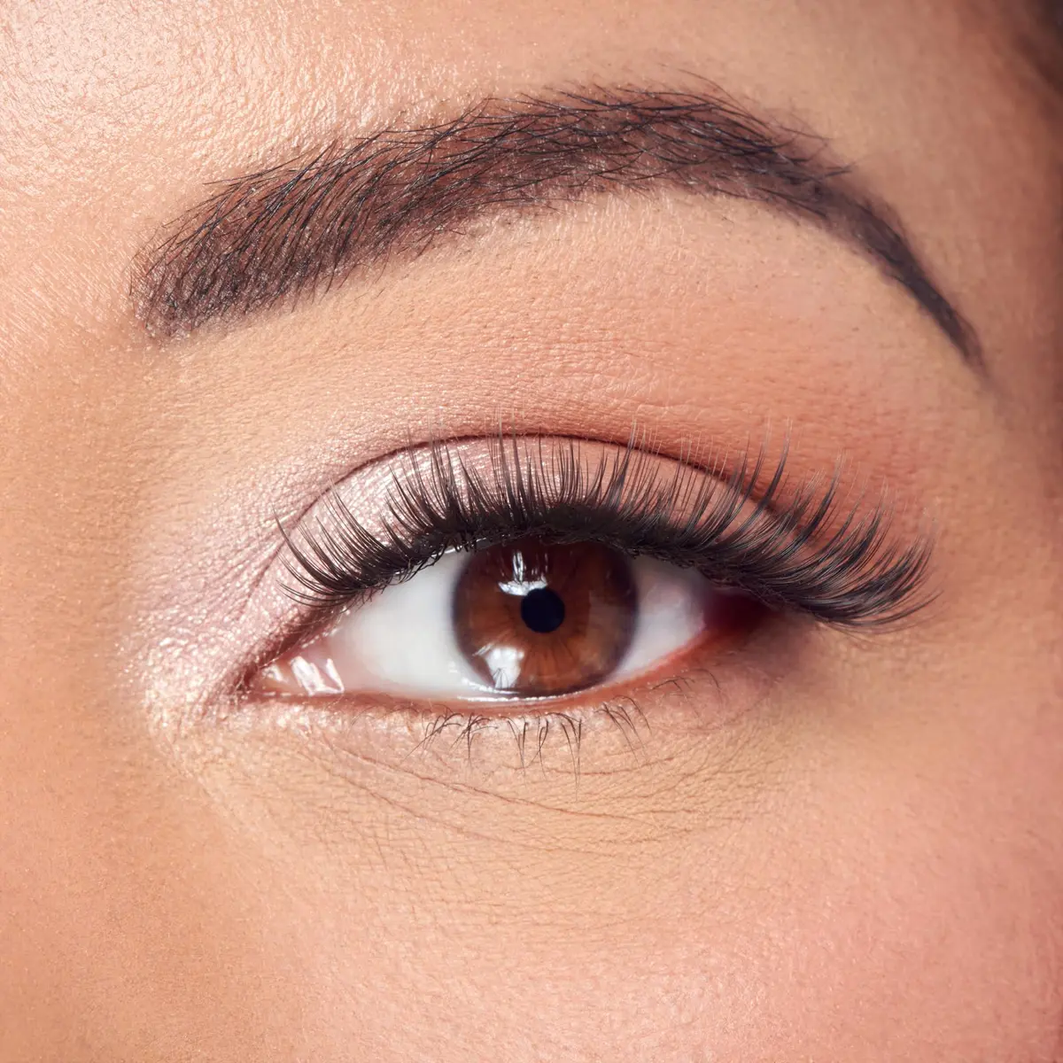 FALSCARA Classic Wispy False Eyelashes 8mm-16mm | Reusable Lash Clusters for Natural & Glam Looks - view 2