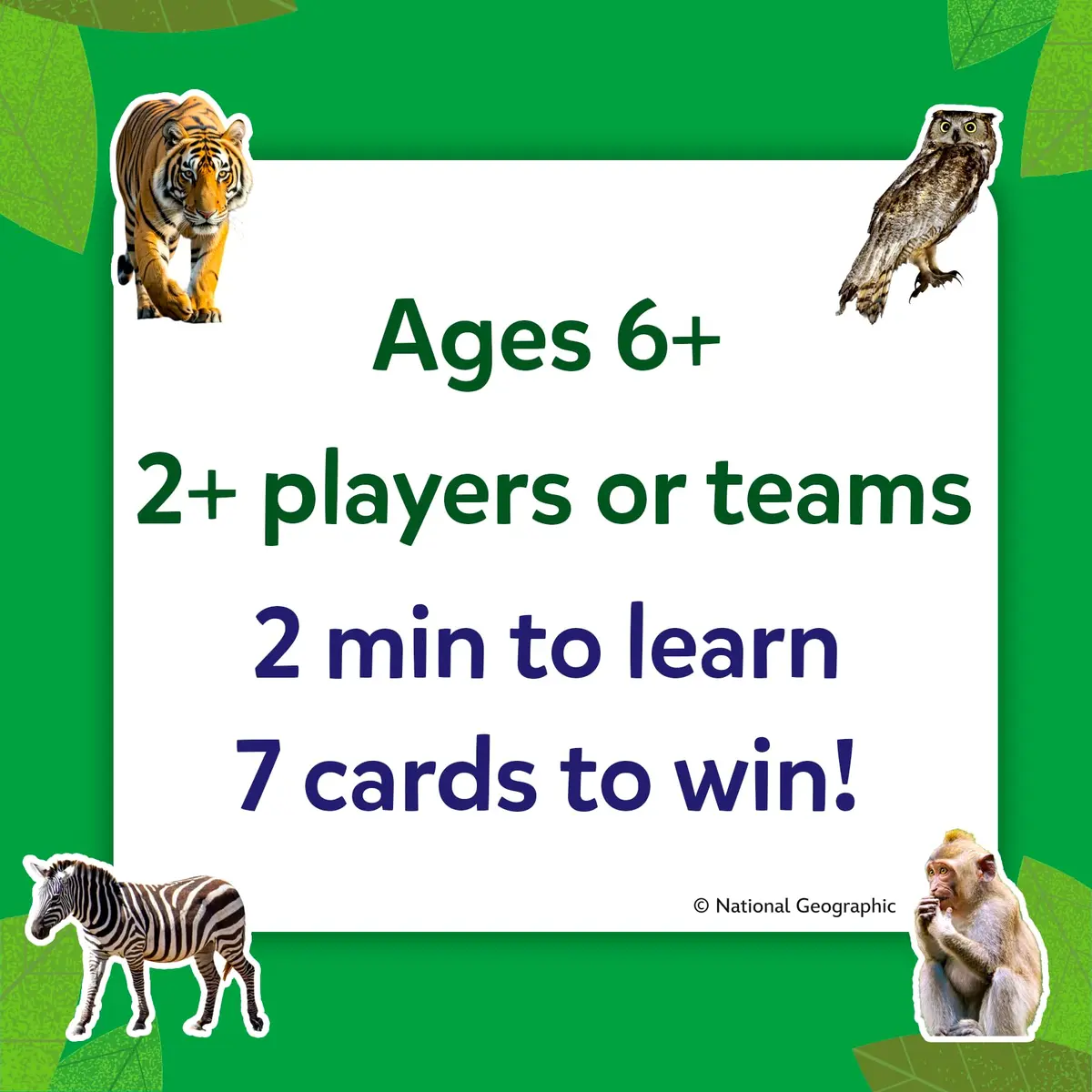 Skillmatics Guess in 10 National Geographic Animals Game | Educational Card Game for Ages 6+ - view 6