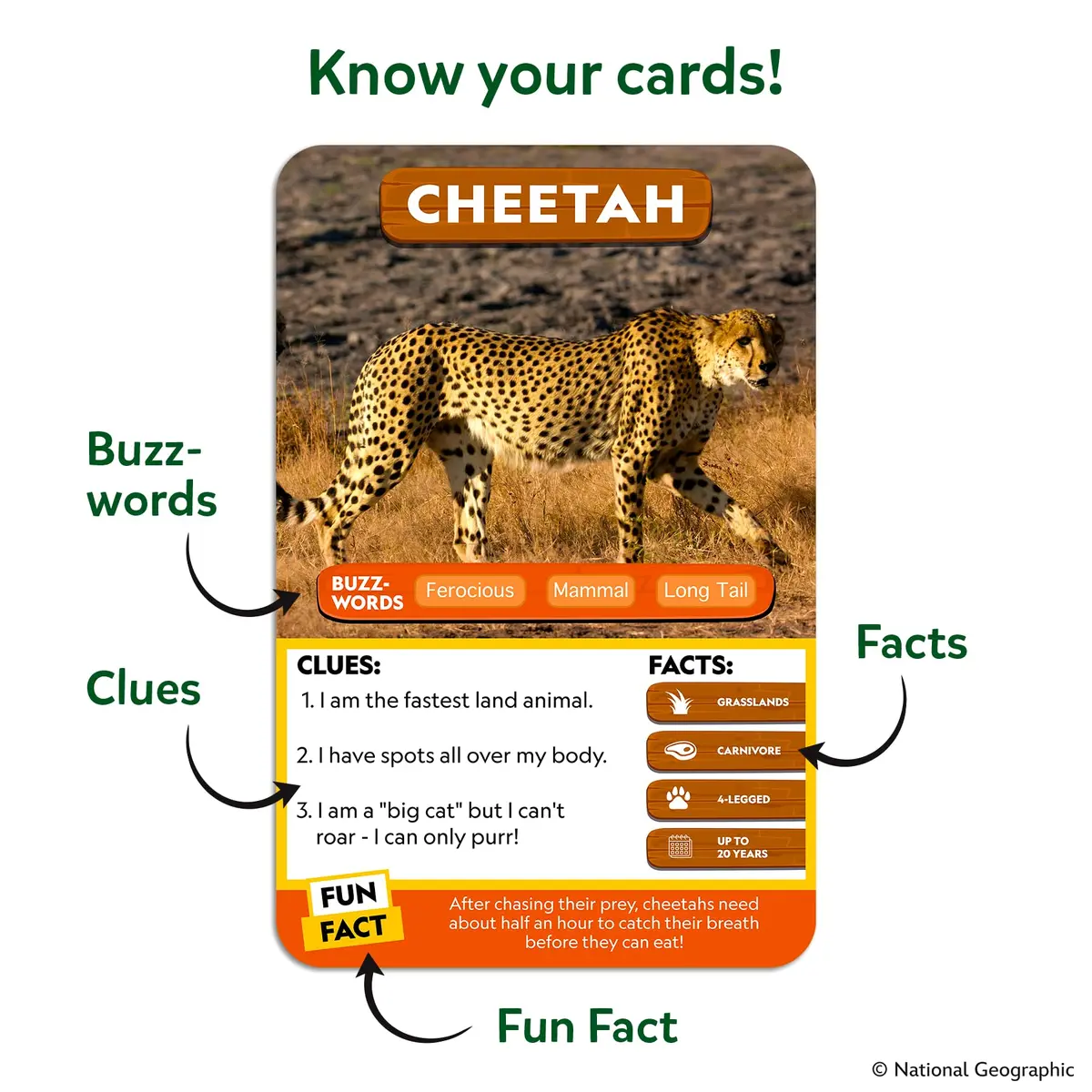 Skillmatics Guess in 10 National Geographic Animals Game | Educational Card Game for Ages 6+ - view 7