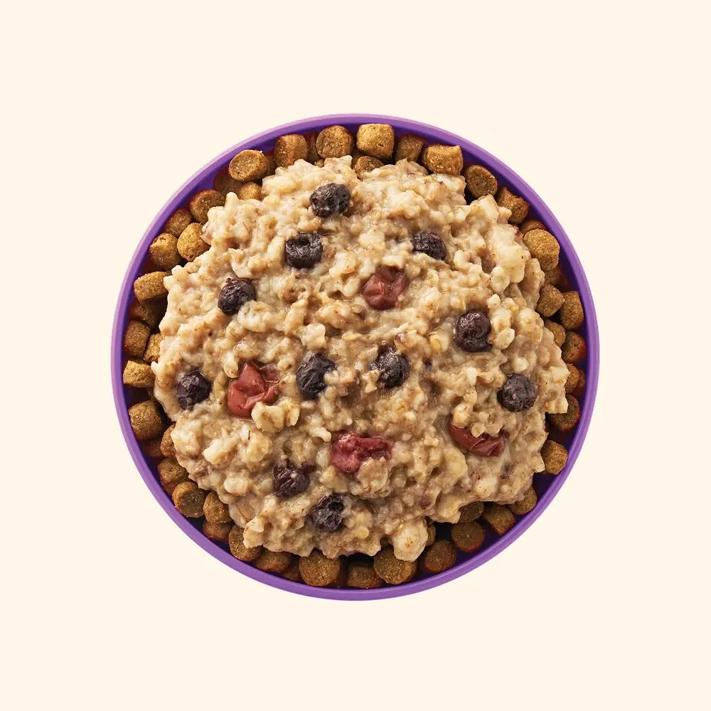 Your Pet's Kitchen Breakfast Oatmeal Berry Boost, 3.5 oz Cup (12-Pk) | Wholesome Dog Topper with Real Berries - view 2