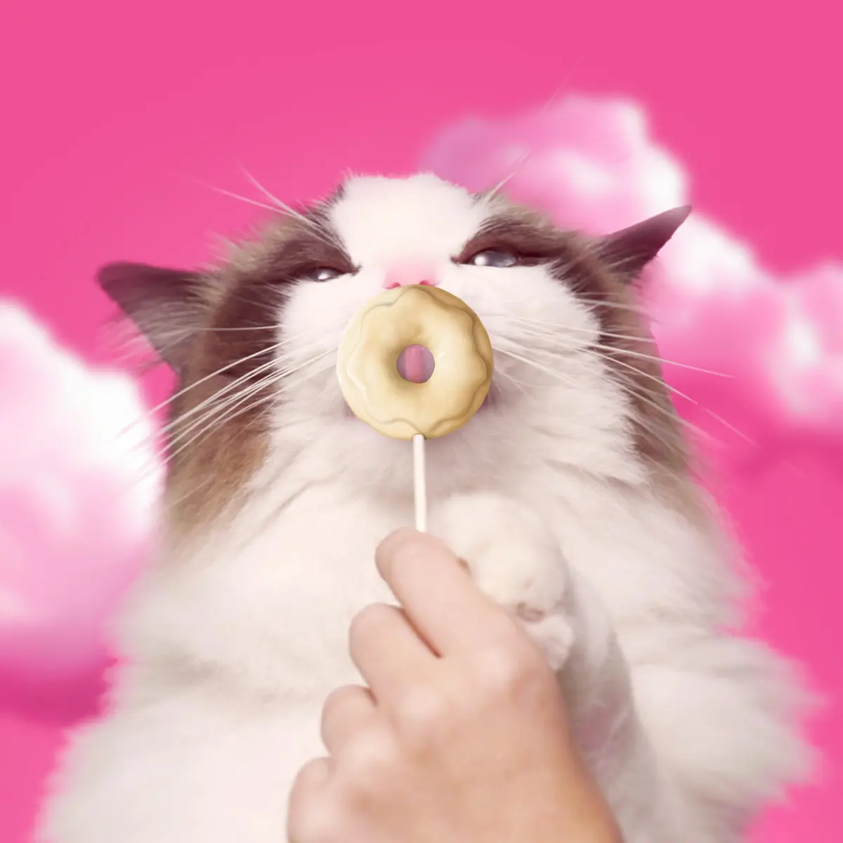 Bonkers Purrpops Krispy Kreme Edition Freeze-Dried Chicken Flavored Lollipop Cat Treats | Limited-Edition, High-Protein, All Life Stages - view 7