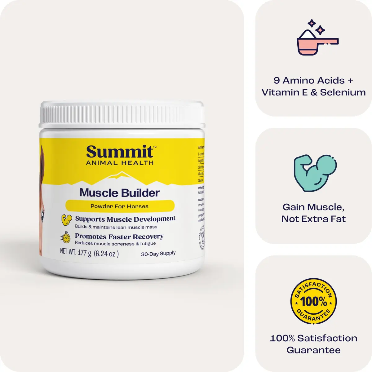 Summit Animal Health Muscle Builder Powder for Horses 90 Day Supply | Amino Acids & Vitamins Support Recovery - view 8