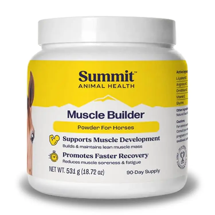 Summit Animal Health Muscle Builder Powder for Horses 90 Day Supply | Amino Acids & Vitamins Support Recovery - view 4