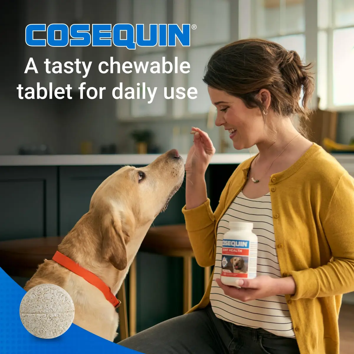 Nutramax Cosequin Dog Joint Health Supplement Tablets, 264 Count (132 Count Pack of 2) | Glucosamine, Chondroitin, MSM for All Breeds - view 4