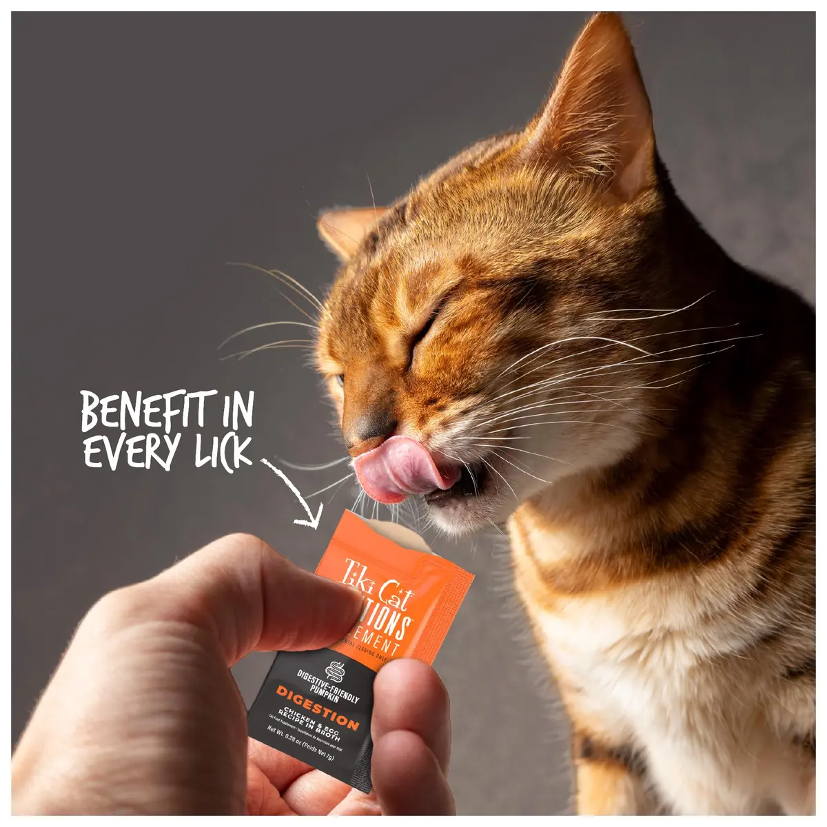 Tiki Cat Solutions Cat Supplement Digestion Chicken & Egg 5.6 oz | Supports Digestive Health with Prebiotics - view 6