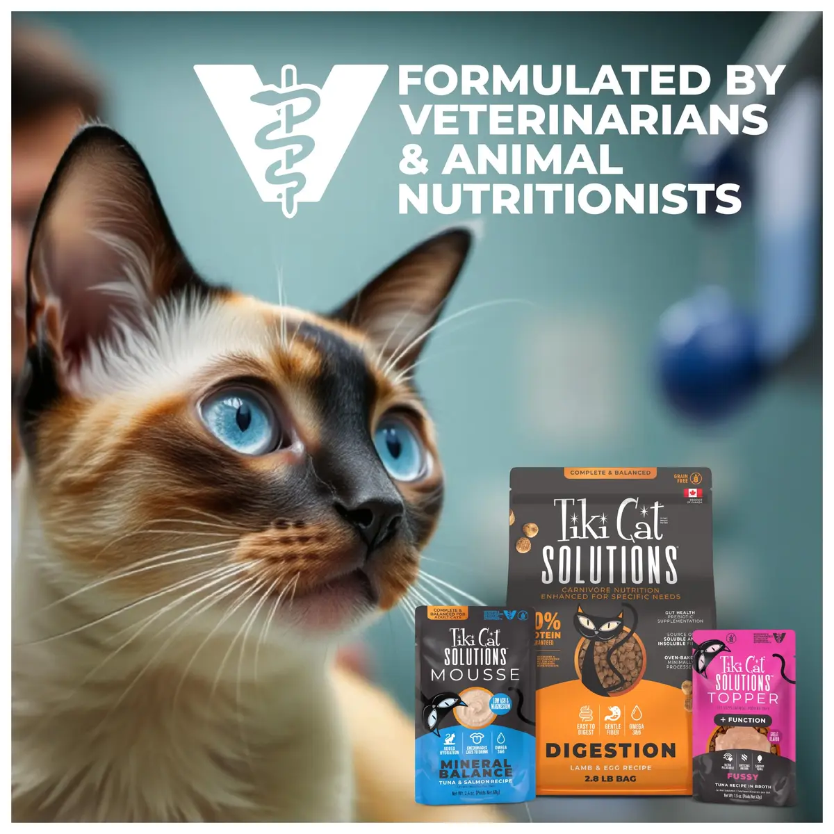 Tiki Cat Solutions Cat Supplement Digestion Chicken & Egg 5.6 oz | Supports Digestive Health with Prebiotics - view 8