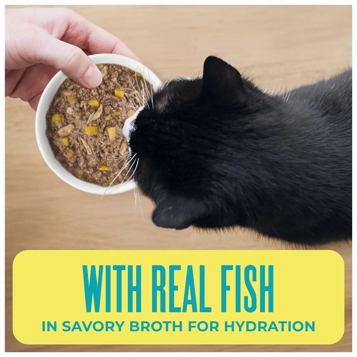 Tiki Cat Wet Cat Food Mega Pack, Seafood Selects, 2.8 oz (24) | Protein-Rich, Grain-Free, Hydrating - view 5