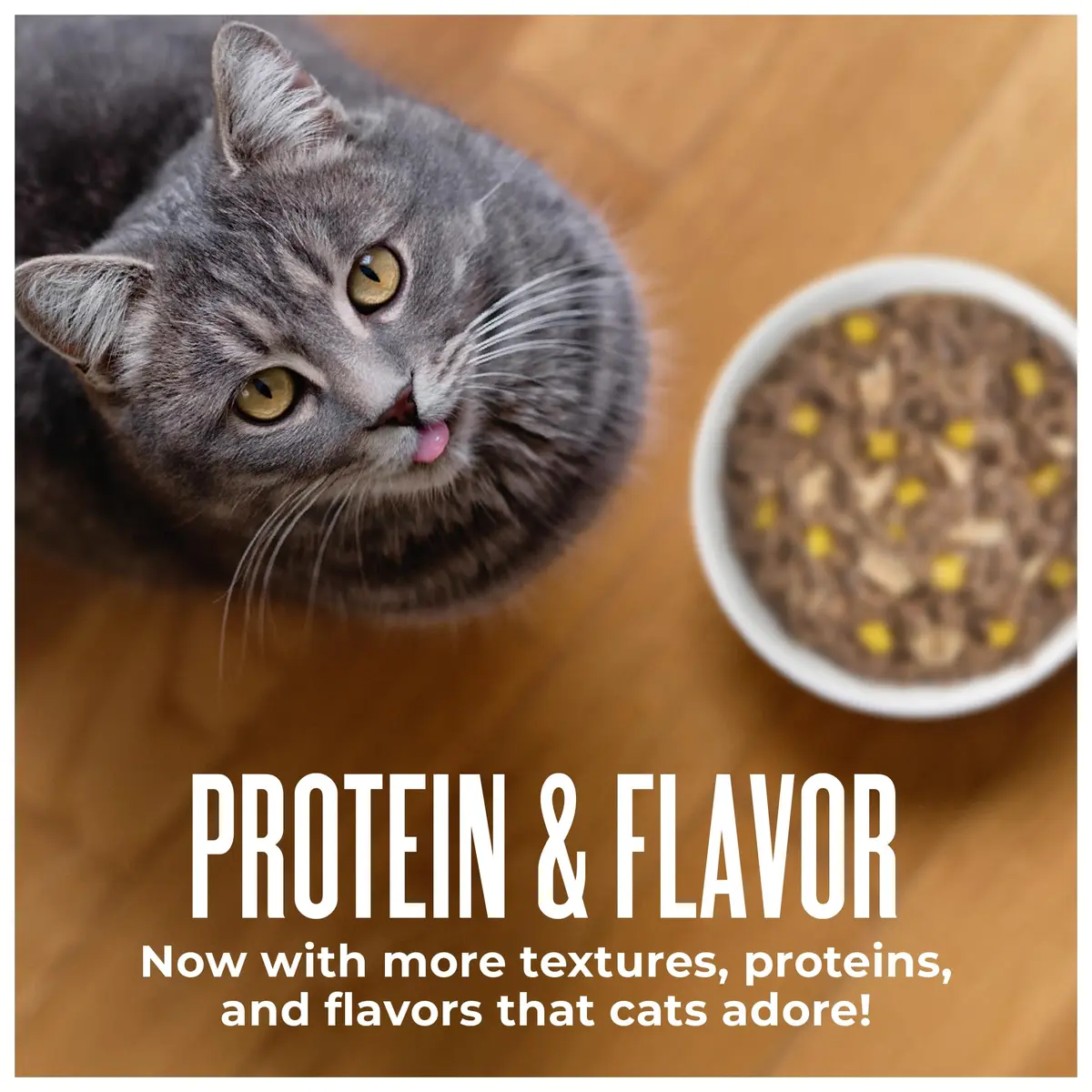 Tiki Cat Wet Cat Food Mega Pack, Seafood Selects, 2.8 oz (24) | Protein-Rich, Grain-Free, Hydrating - view 7