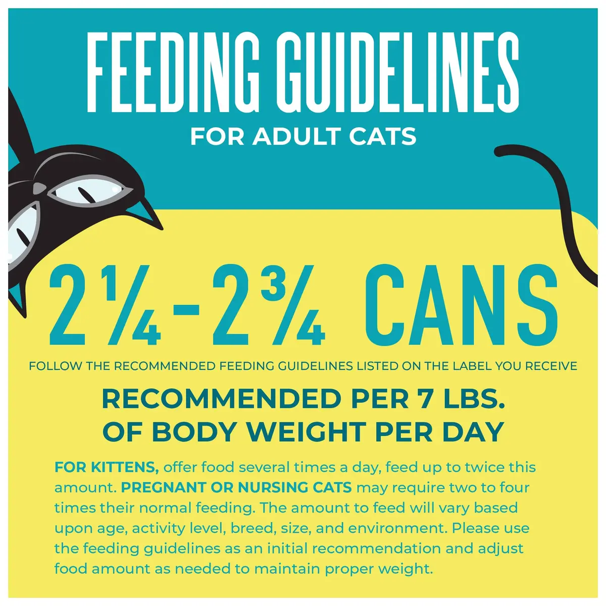 Tiki Cat Wet Cat Food Mega Pack, Seafood Selects, 2.8 oz (24) | Protein-Rich, Grain-Free, Hydrating - view 9