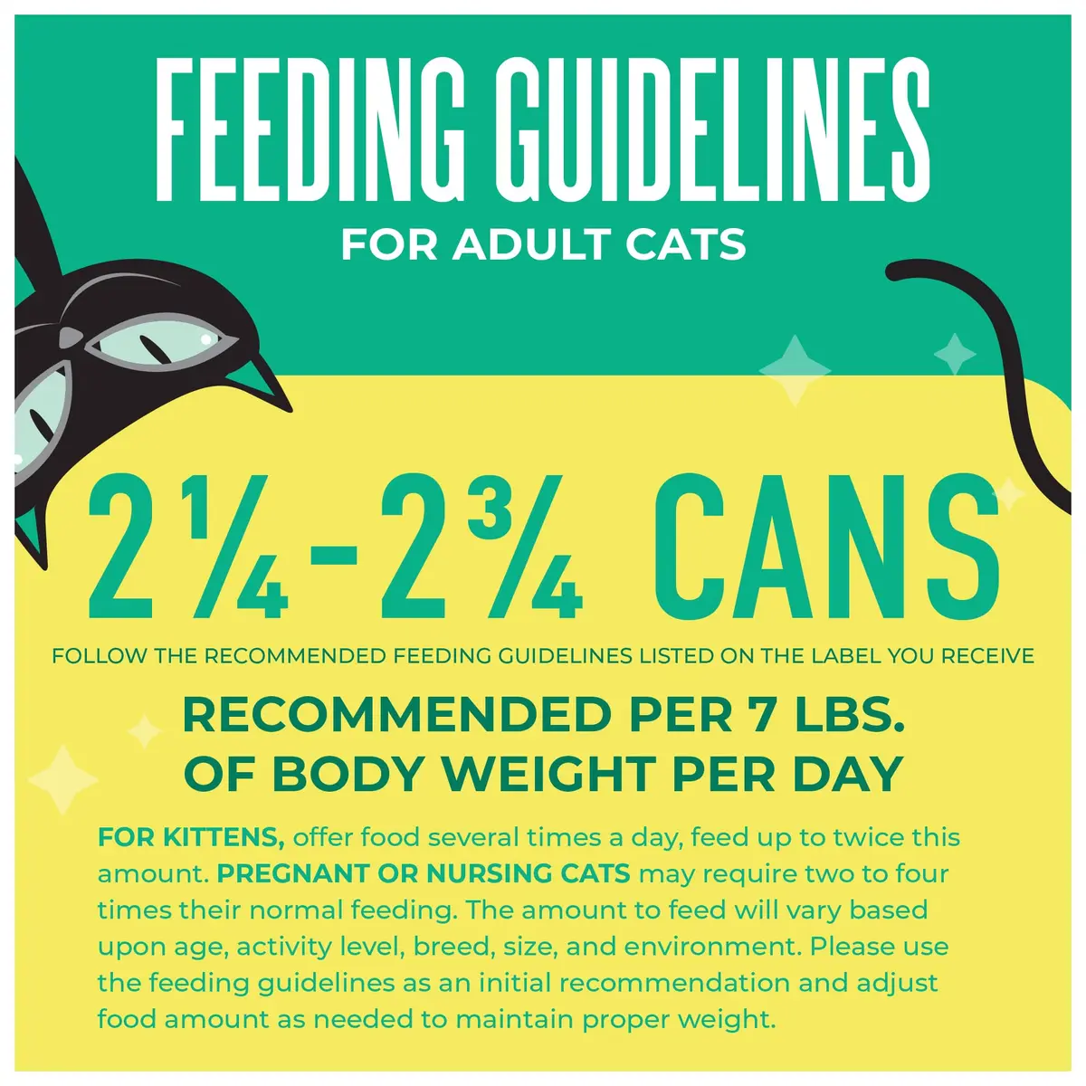 Tiki Cat Wet Cat Food Mega Pack, Seafood Selects Variety Pack, 2.8 oz (36) | Protein-Rich, Grain-Free, Hydrating for Cats - view 9
