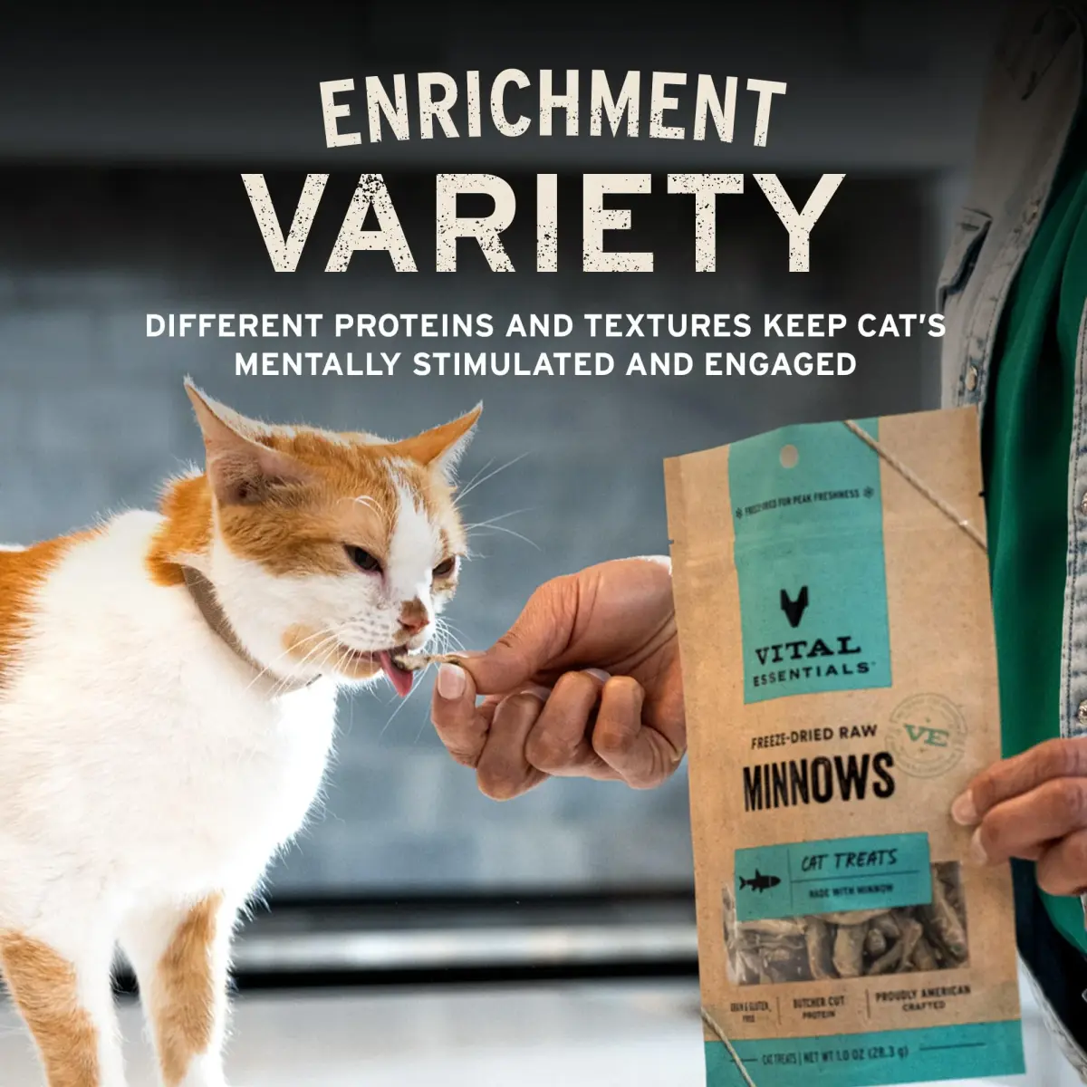 Vital Essentials Freeze Dried Raw Chicken Hearts Cat Treats 2.75 oz (78 g) | Single Ingredient Protein Boost - view 6