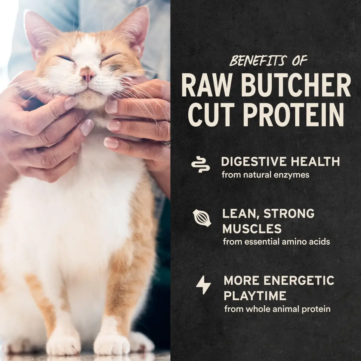 Vital Essentials Freeze Dried Raw Chicken Hearts Cat Treats 2.75 oz (78 g) | Single Ingredient Protein Boost - view 4