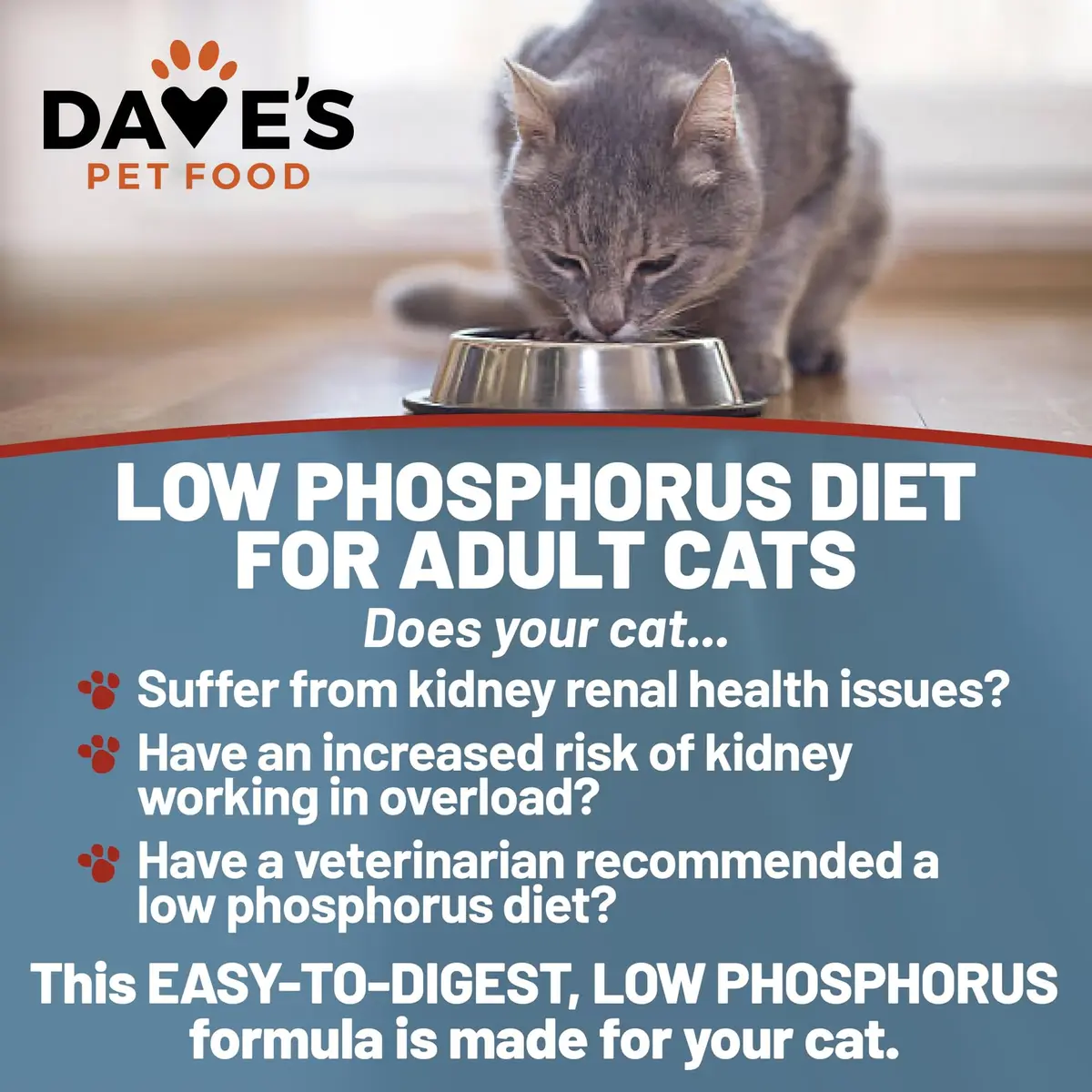 Dave's Pet Food Non Prescription Renal Cat Food Variety Pack 3 oz | Kidney Support with Quality Proteins - view 3