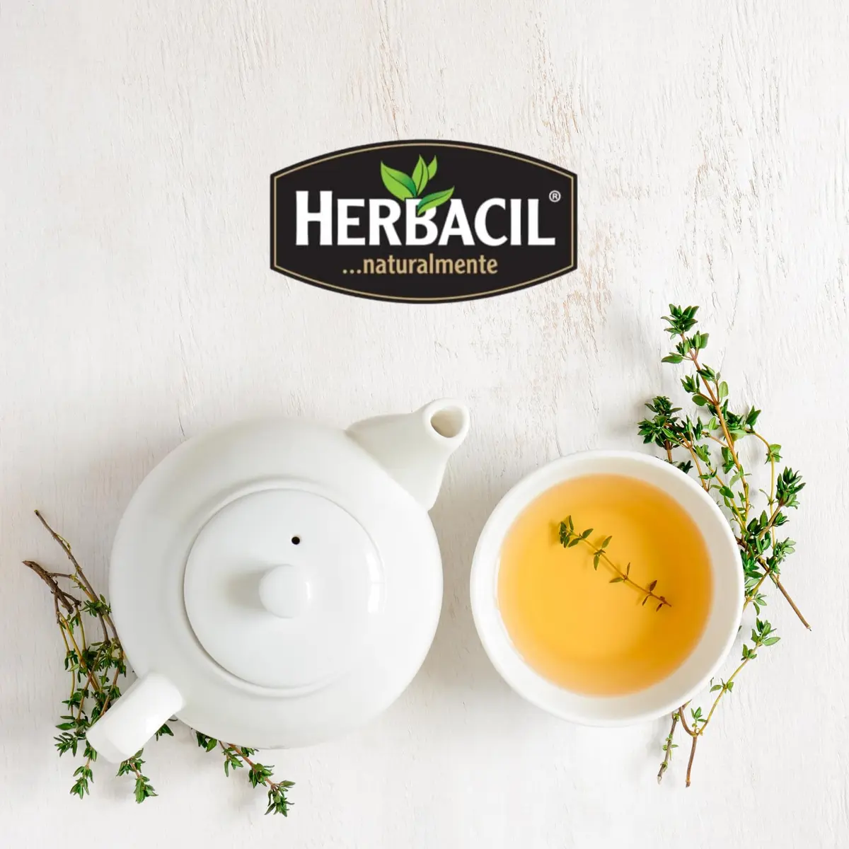 Herbacil Ginger Lemon Tea - Caffeine Free, Natural - 6 Pack, 25 Tea Bags - view 2