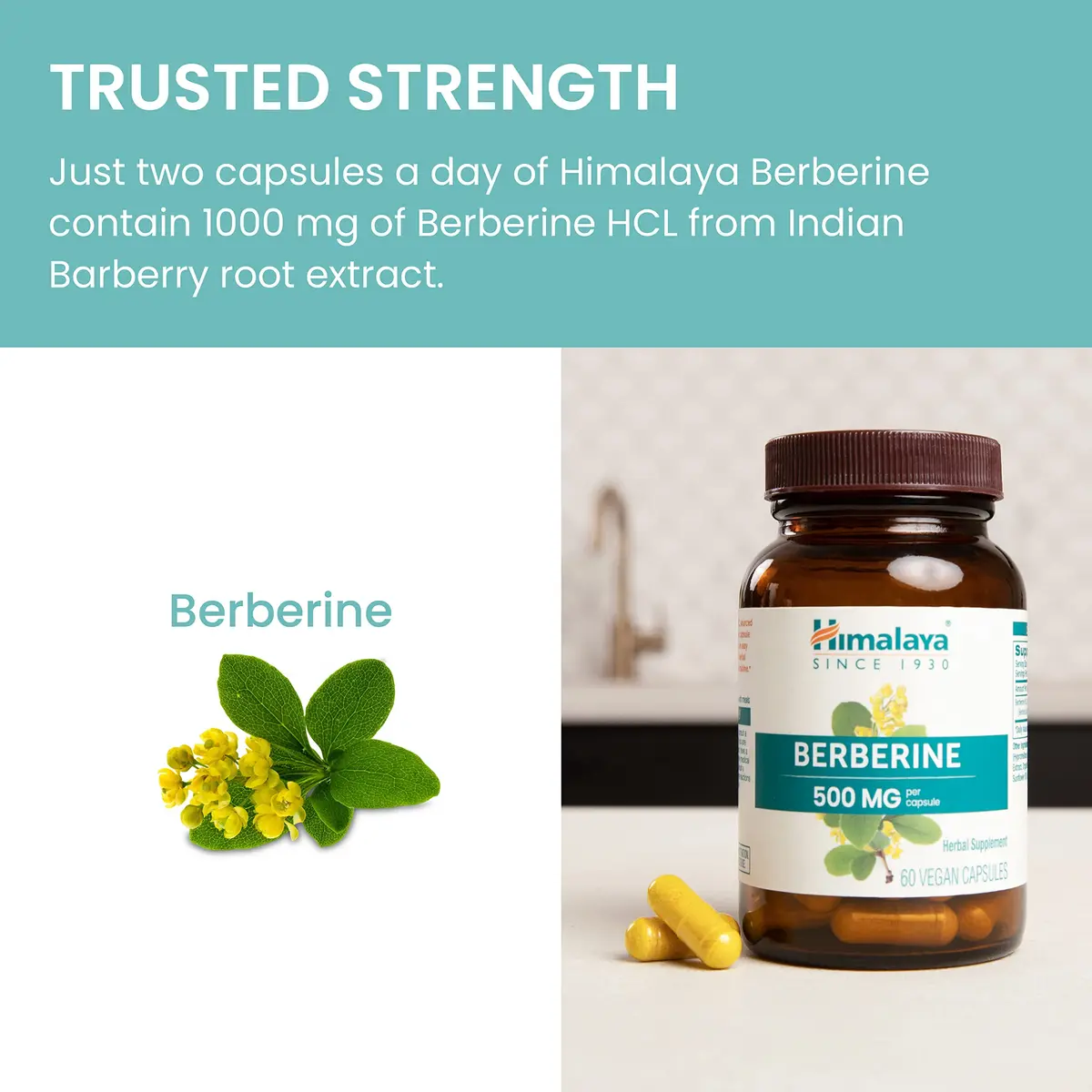Himalaya Berberine Supplement 1000 mg | Supports Immunity & Metabolism, Vegan, 2 Pack - view 6